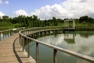 wetlandpark
